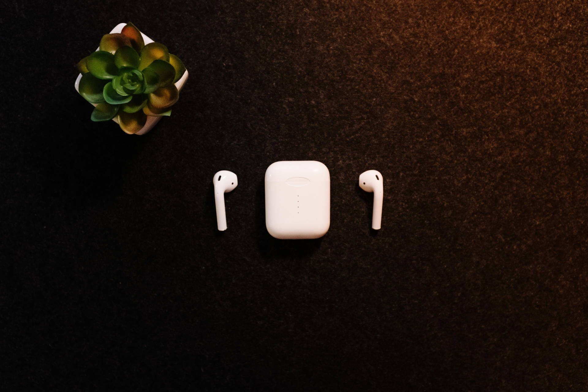 Apple Airpods With Chic Succulents Background