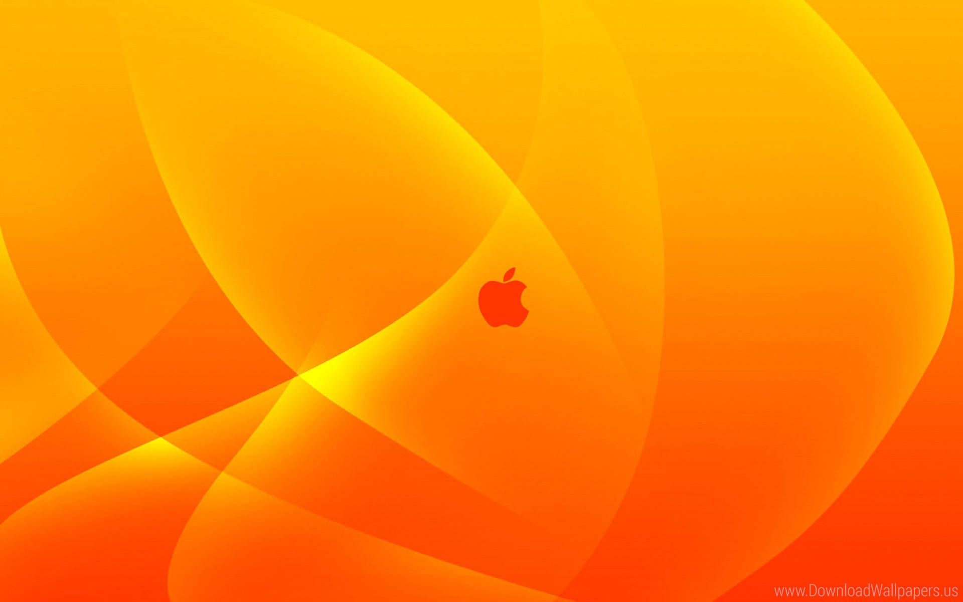 Apple Icon In Orange Cover Background