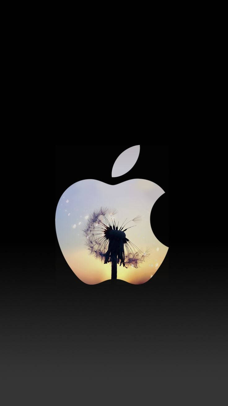 Apple Logo Cute Iphone Lock Screen