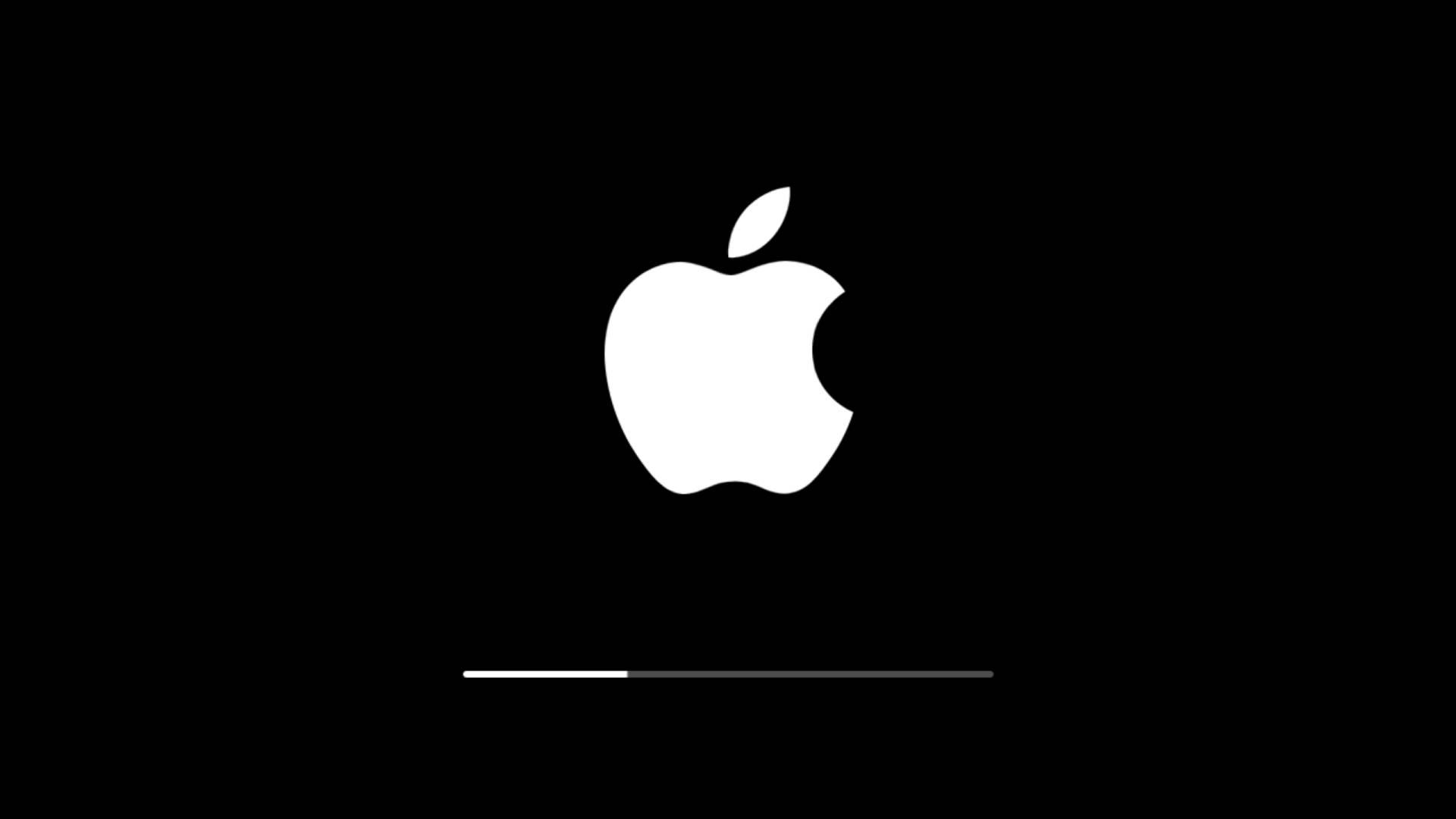 Apple Logo Loading Screen Background