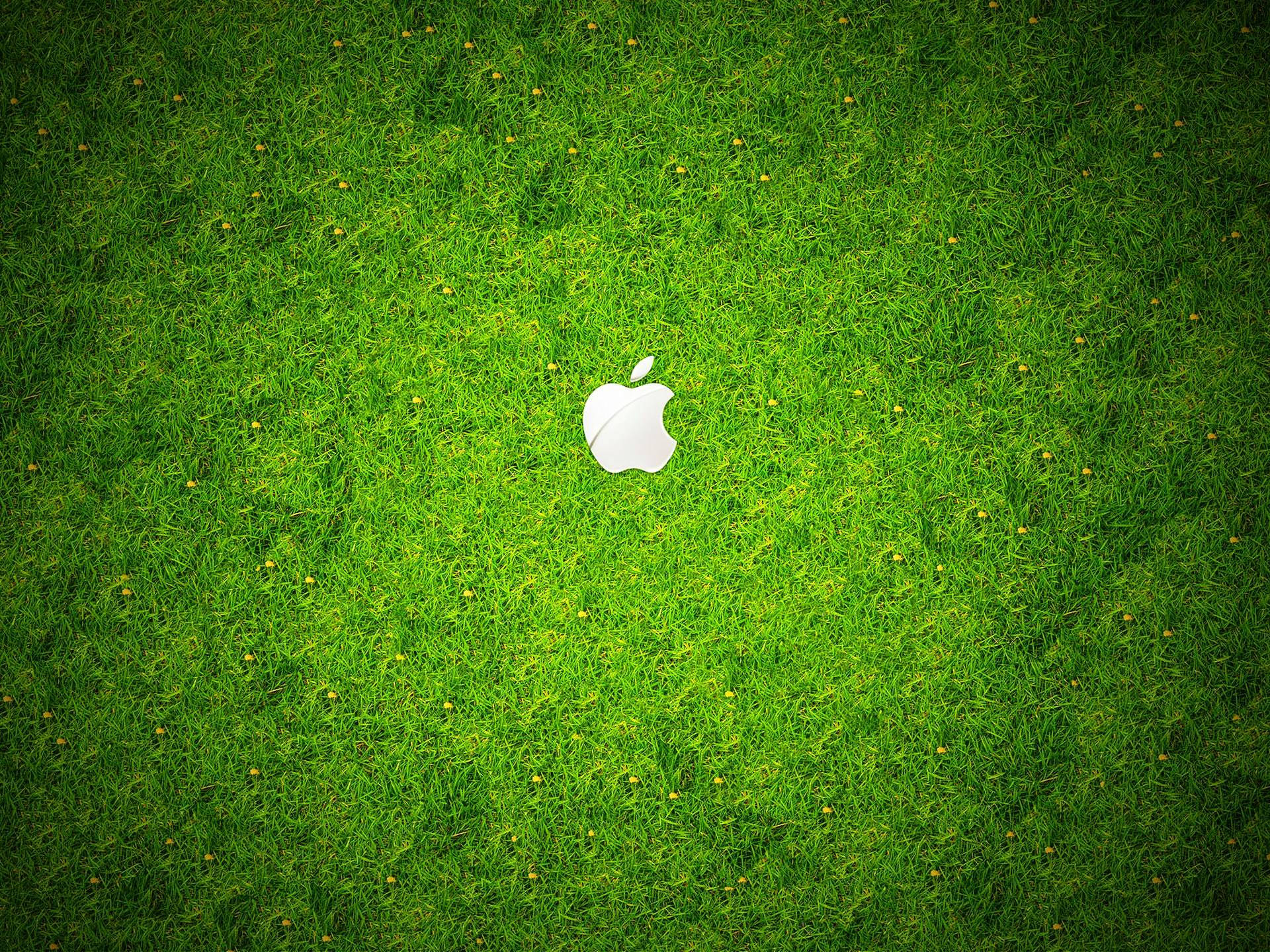 Apple Logo On Grass Background