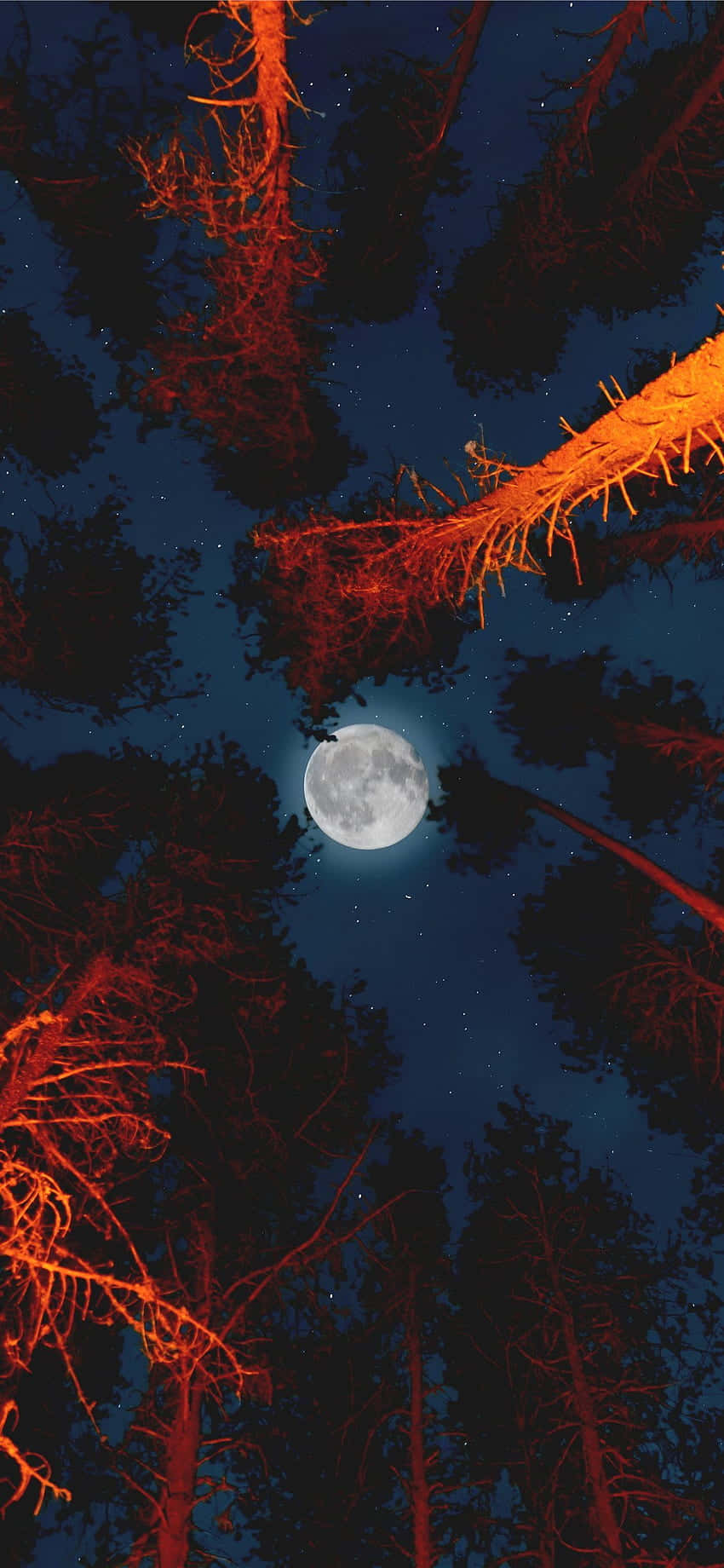 Appreciate The Beauty Of The Night Sky With The New Moon Iphone Background