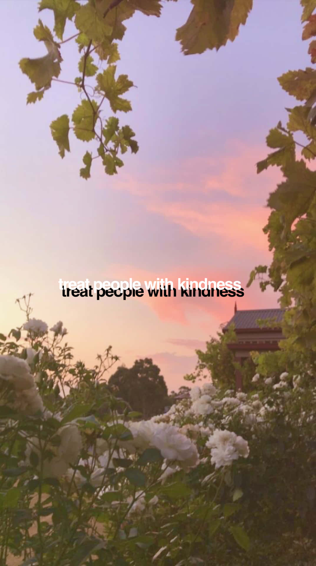 Appreciate The Simple Beauty Of Nature From Your Phone