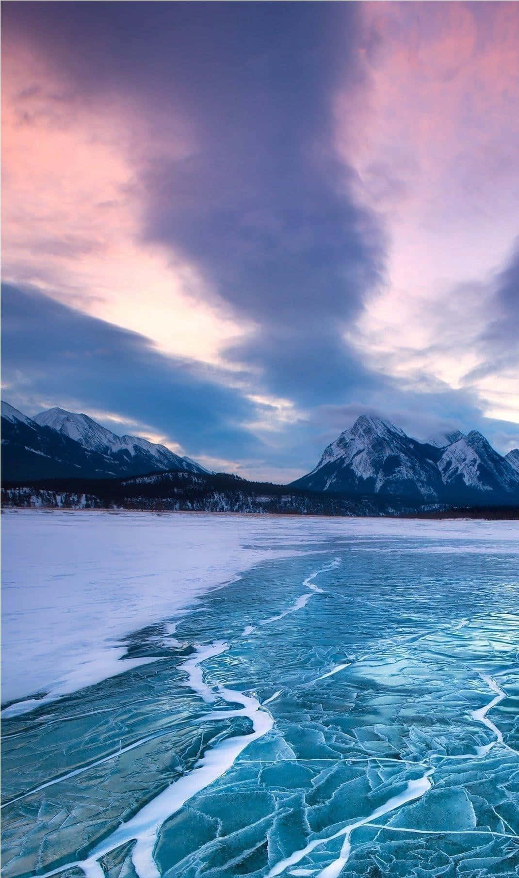 Appreciating The Beauty Of Nature Background