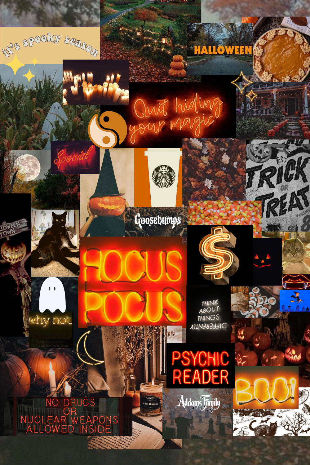 Appreciating The Beauty Of The Spooky Season Background