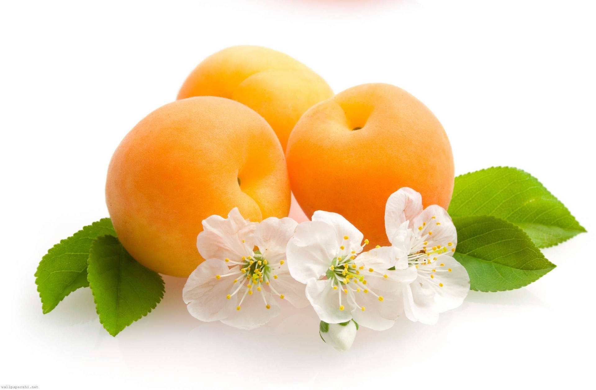 Apricot Fruits And Flowers