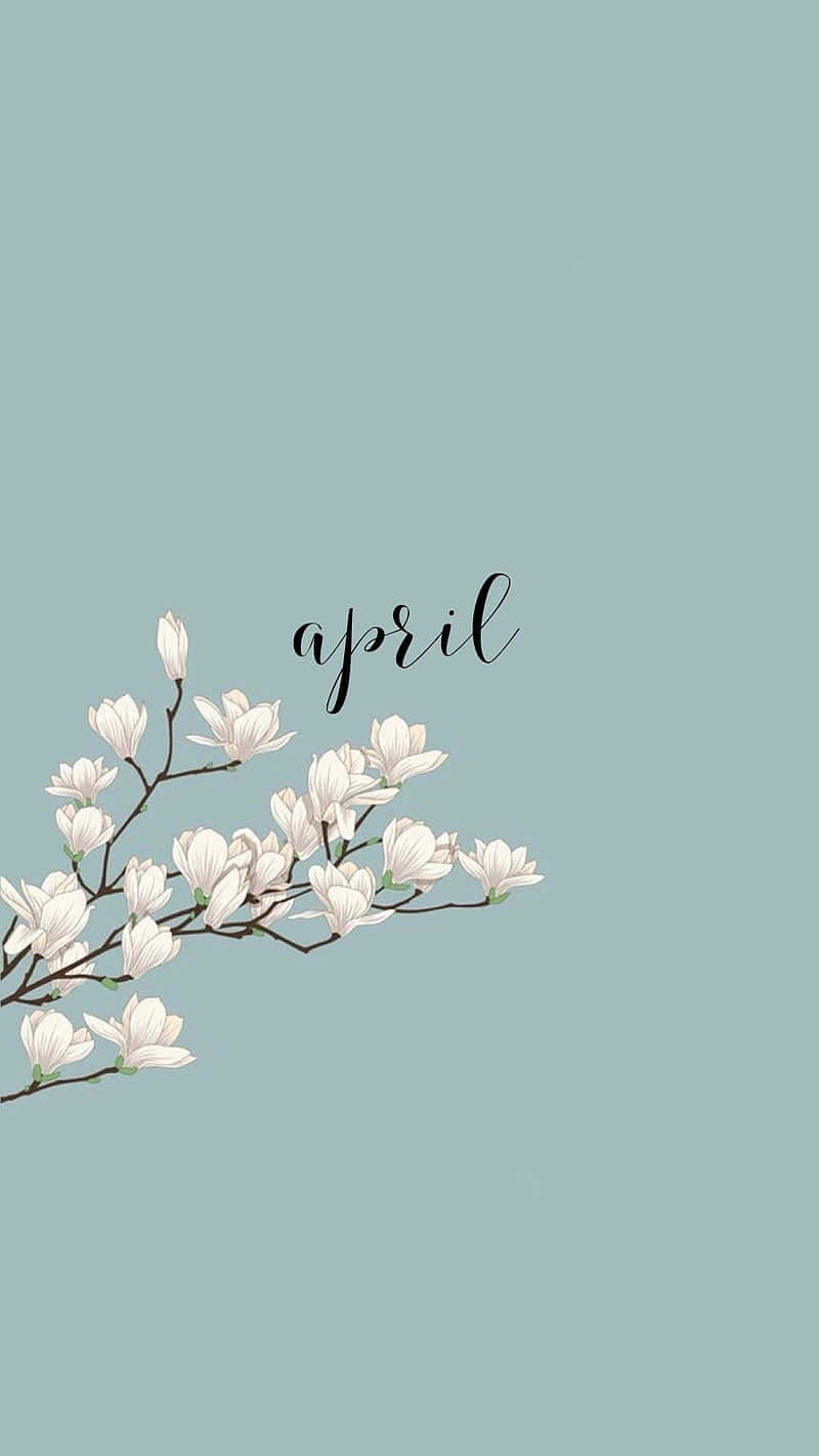 April Blossoms Background