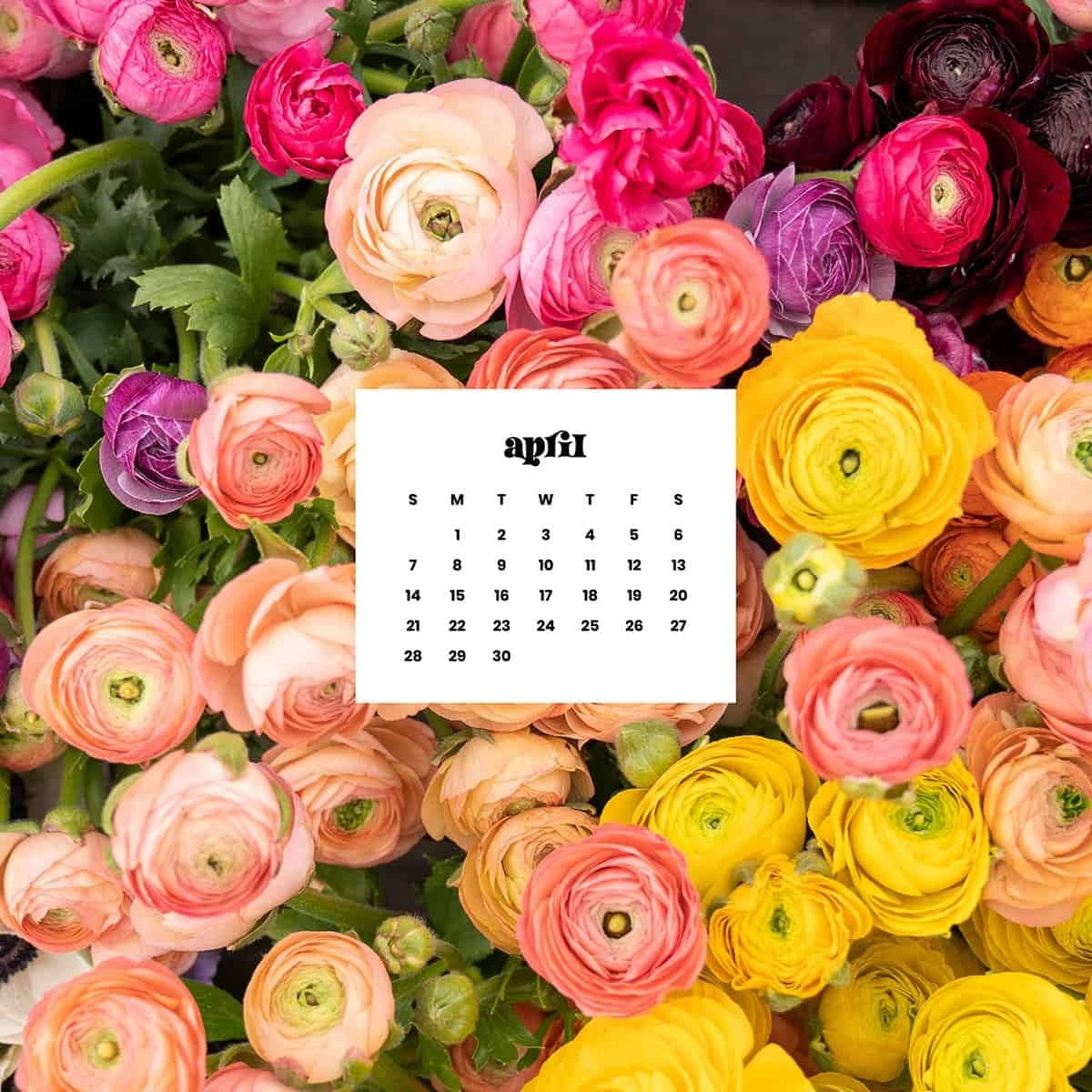 April Floral Calendar Background