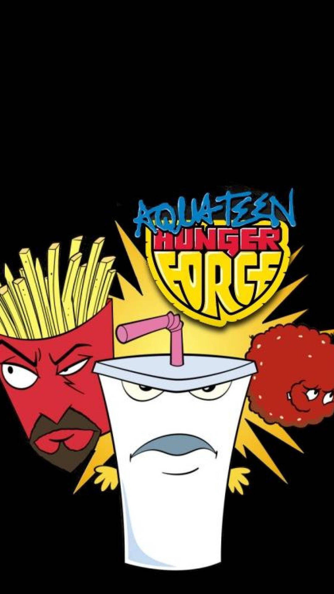 Aqua Teen Hunger Force Adult Cartoon