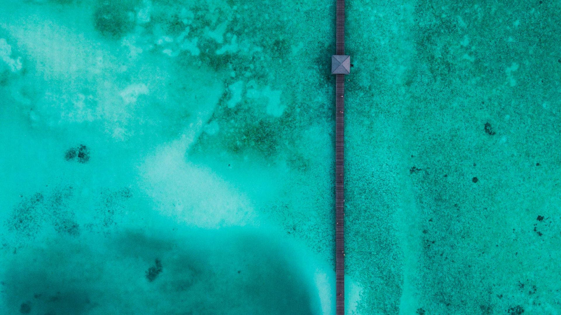 Aqua Turquoise Sea Background