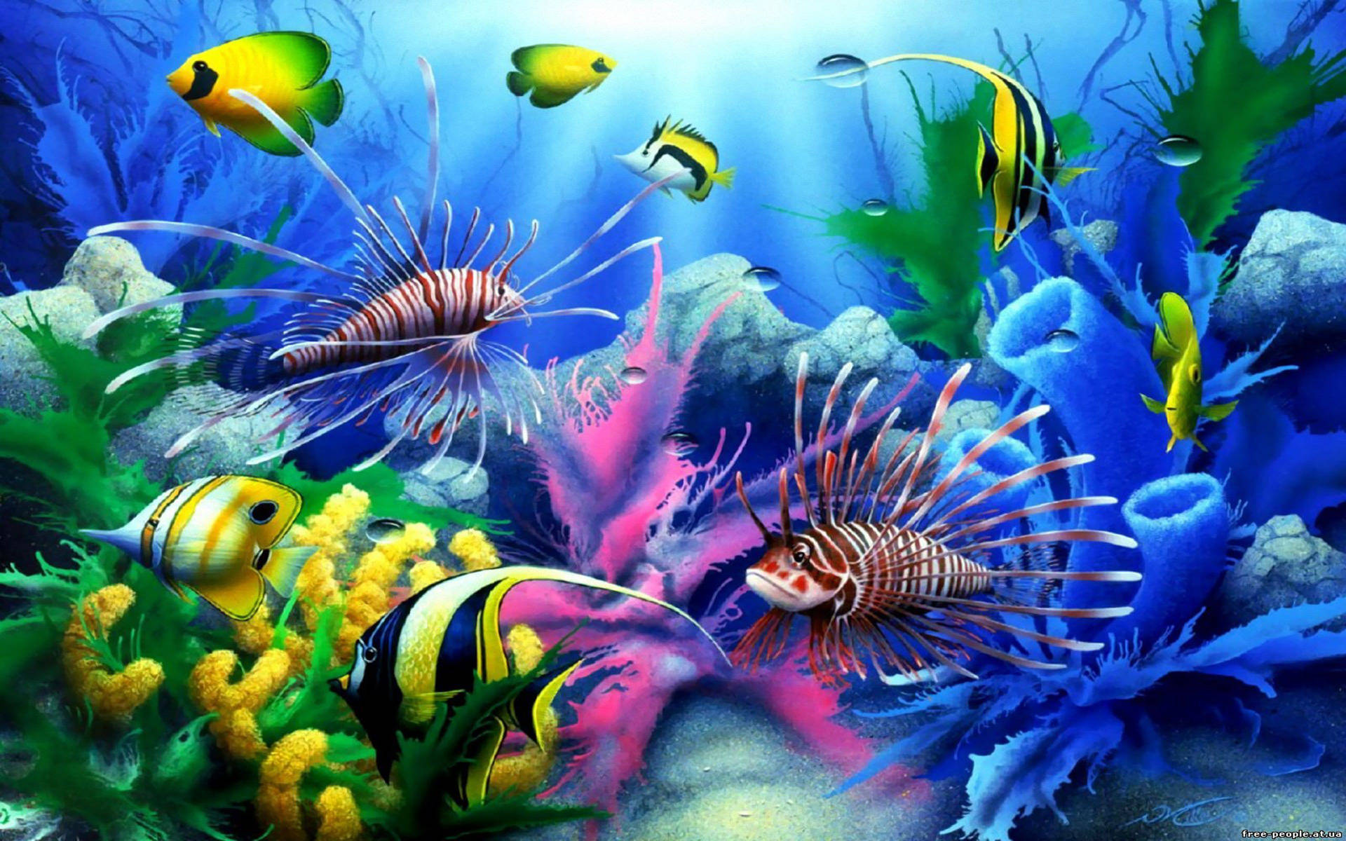 Aquarium Cool Fish Background