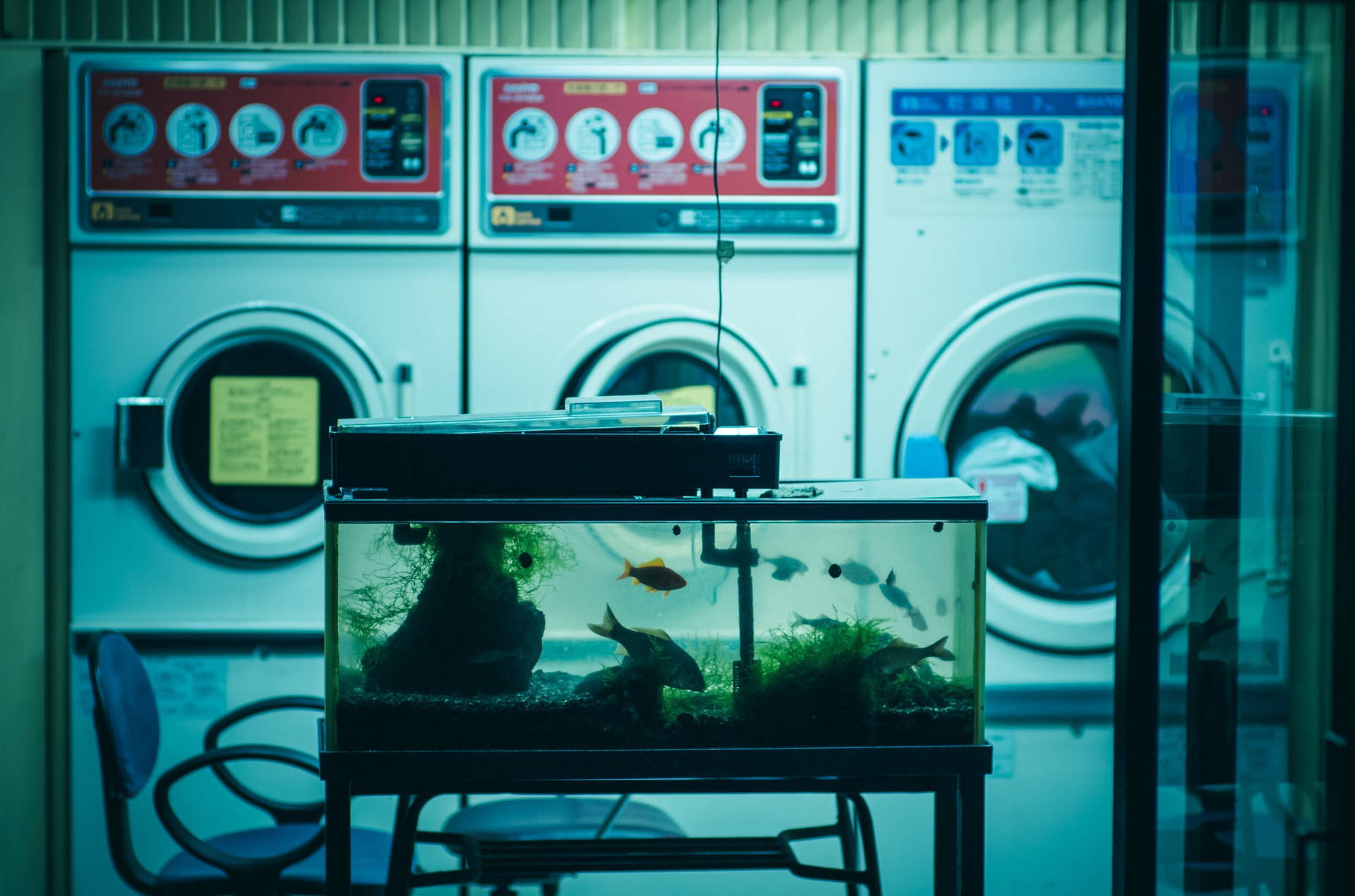 Aquarium In A Laundry Shop Background