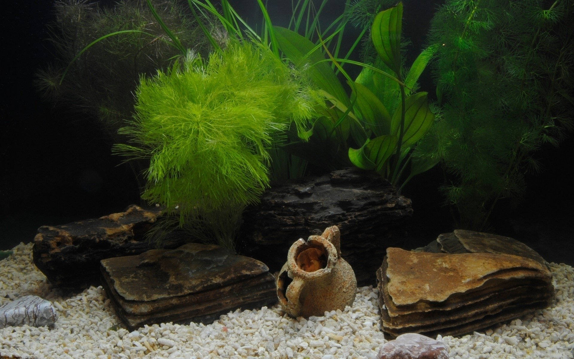 Aquarium Stone Decorations Background