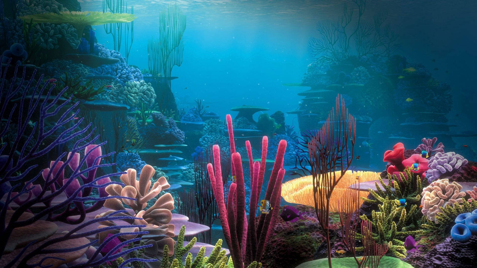 Aquarium Underwater Ocean