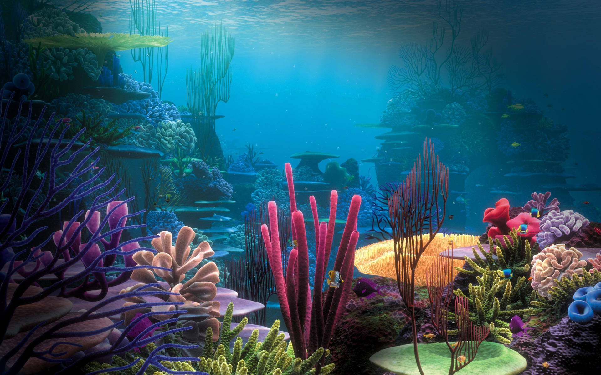Aquatic Corals And Sponges Background