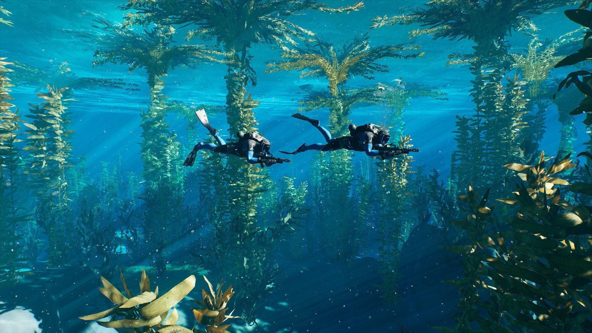 Aquatic Scuba Divers Underwater Background
