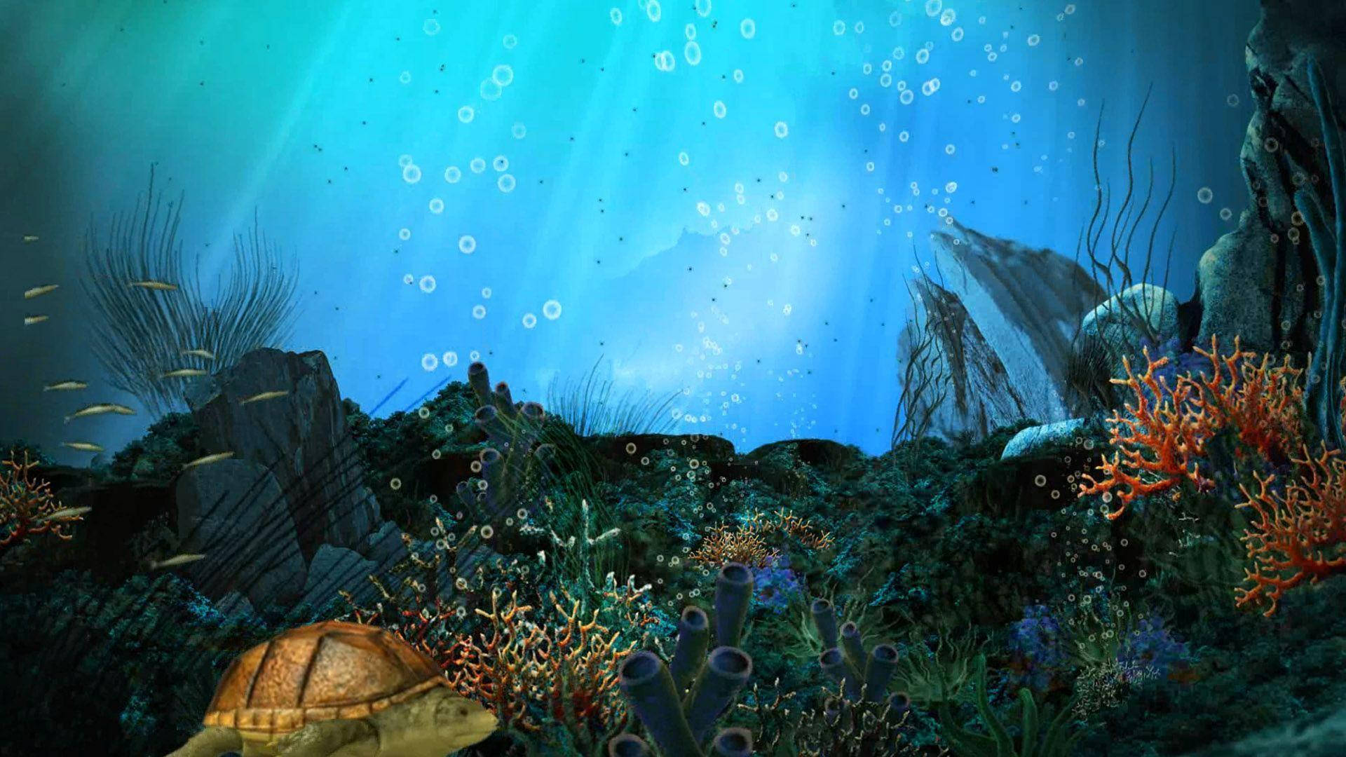 Aquatic Seascape With Corals Background