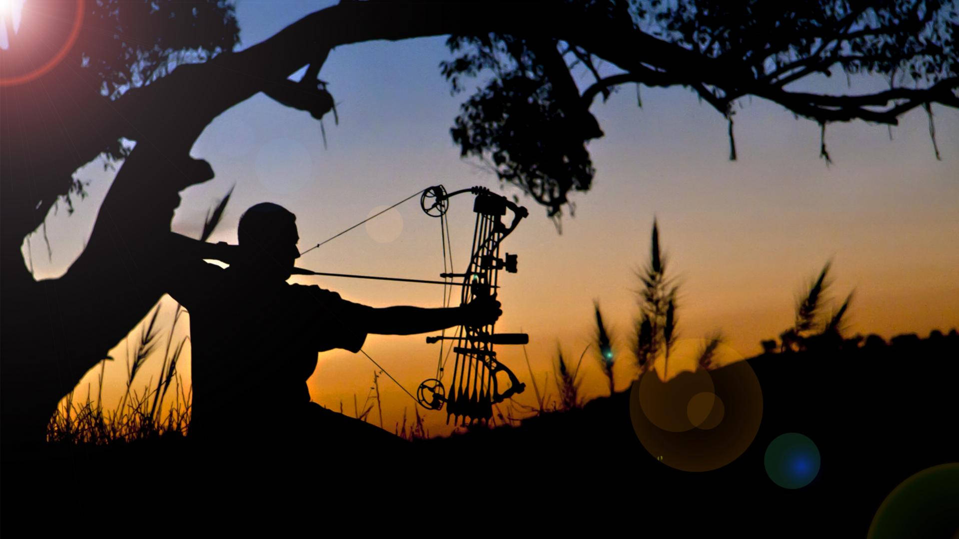 Archery Silhouette Background