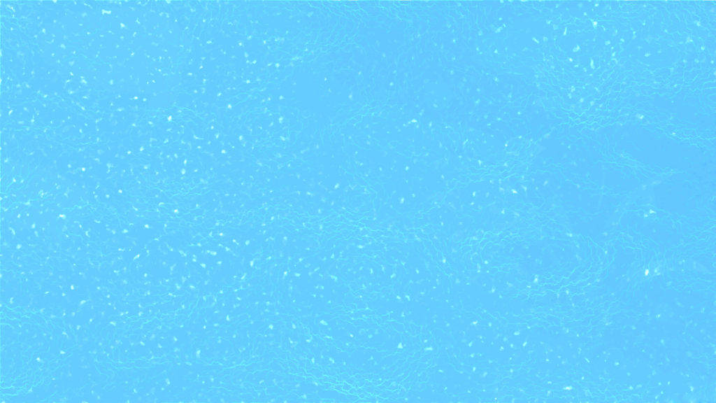 Arctic Blue Plain Color Background