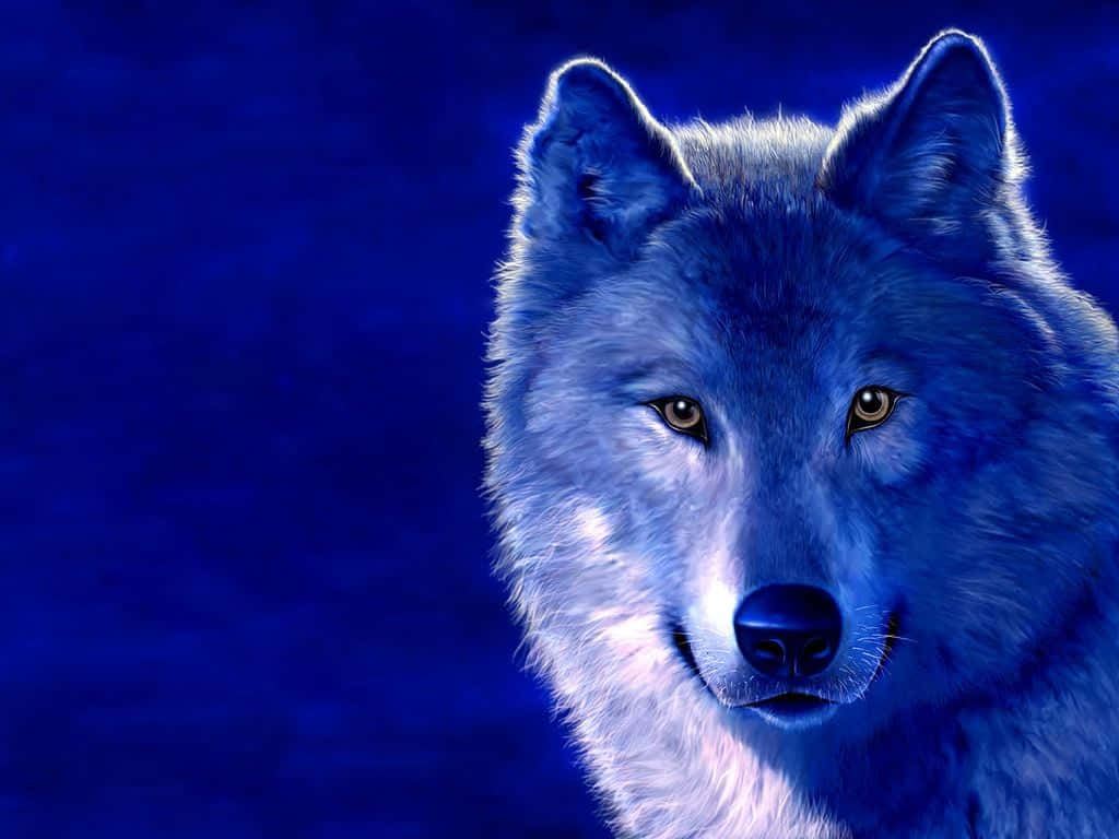 Arctic Cool Blue Wolf Desktop Background