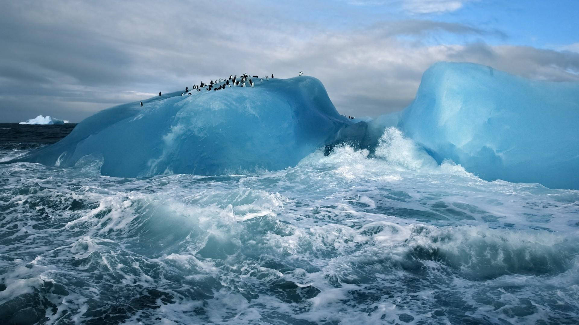 Arctic Iceberg With Penguins Background