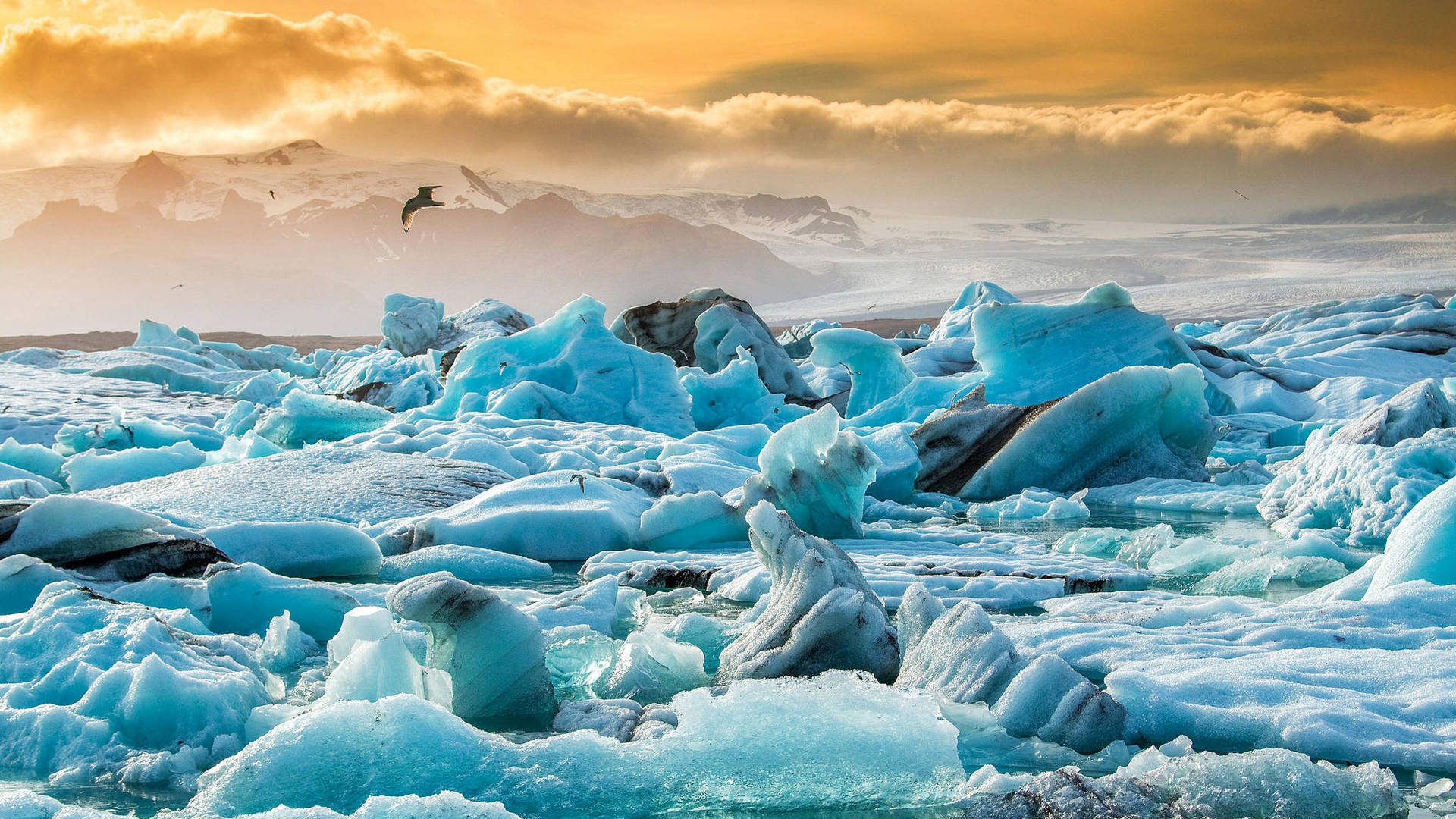 Arctic Landscape Full Of Ice Background