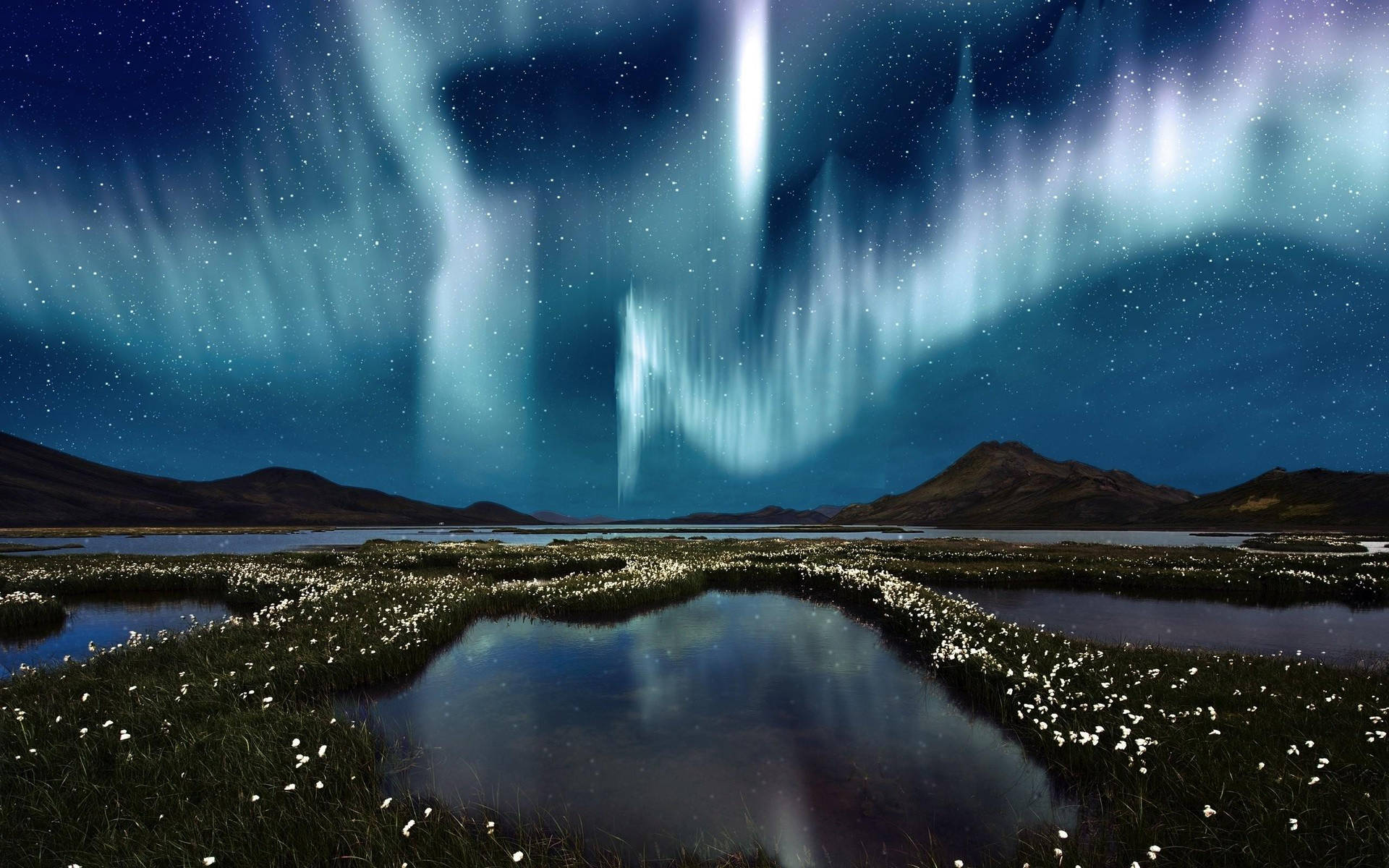 Arctic White Aurora Borealis Background
