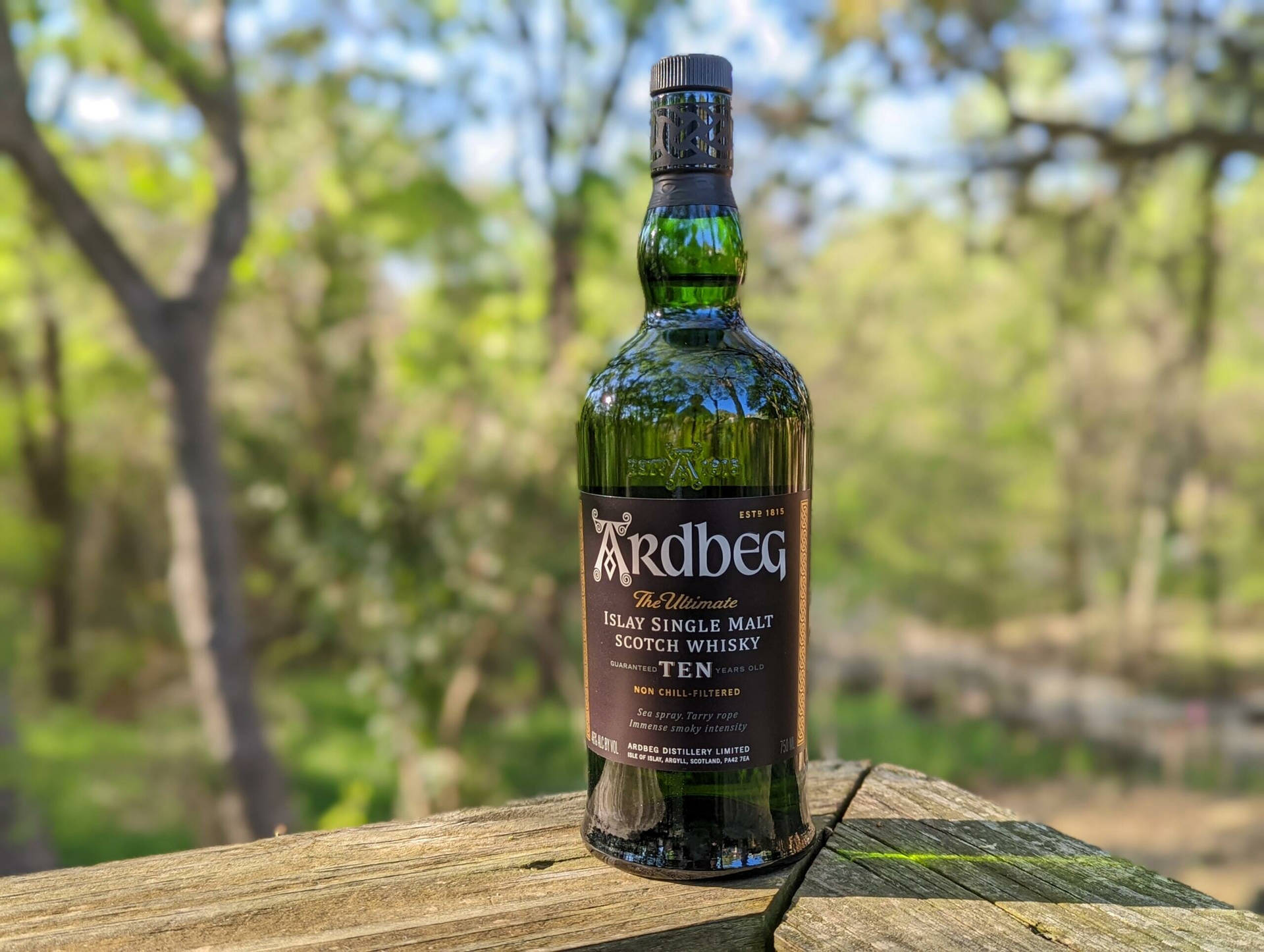 Ardbeg Ten Whisky Bottle In Woods Background