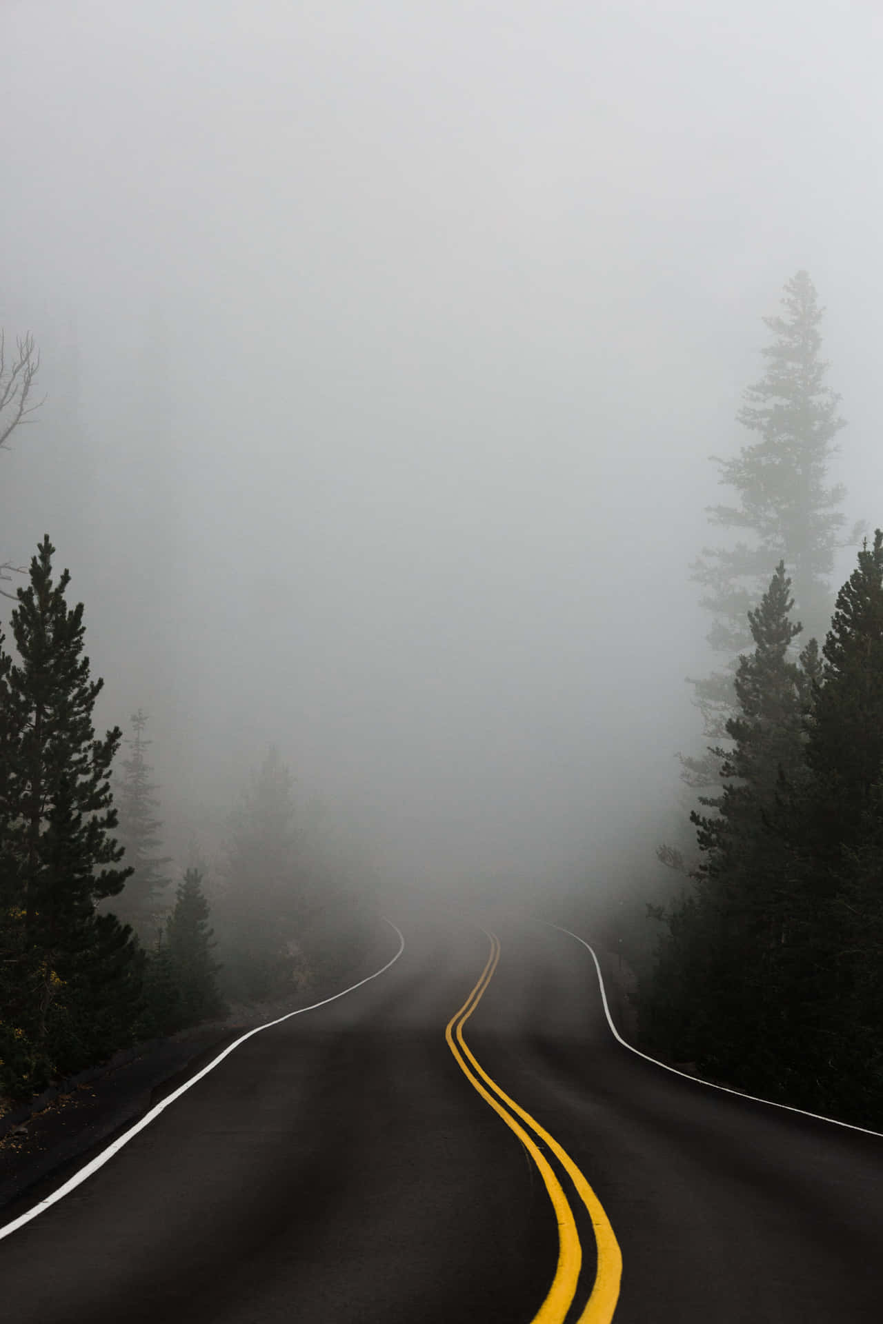 Arduous Foggy Mountain Road Background