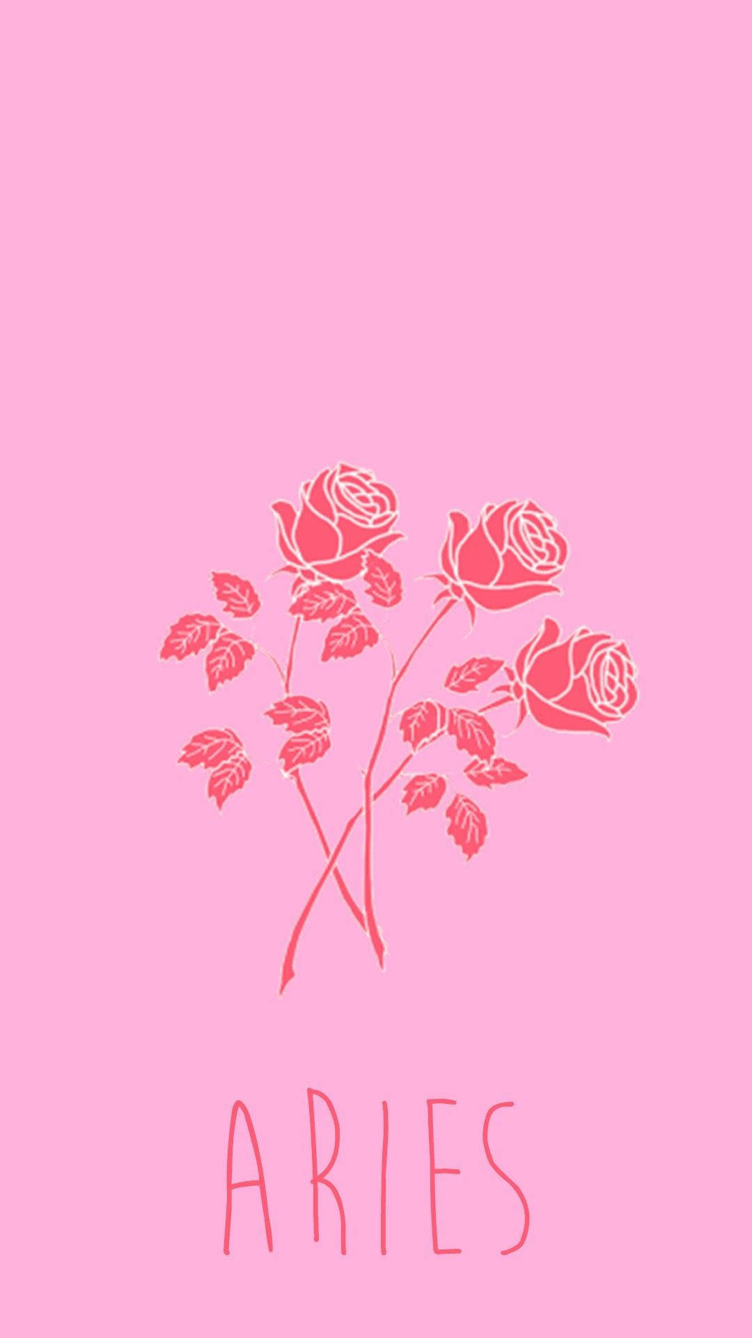 Aries Aesthetic Red Roses In Pink Background