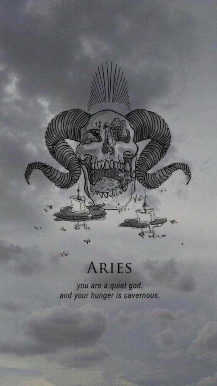 Aries Iphone Graphic Design