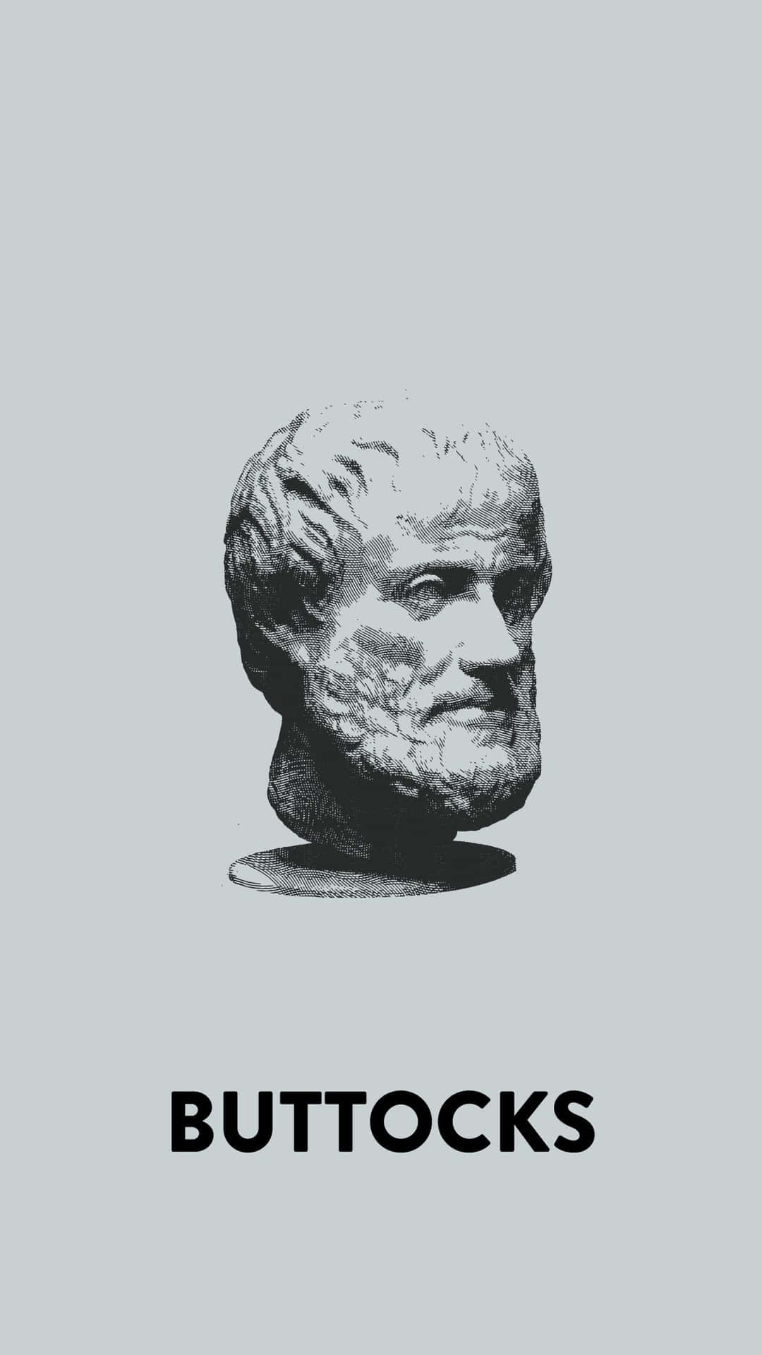 Aristotle 1242 X 2208 Background