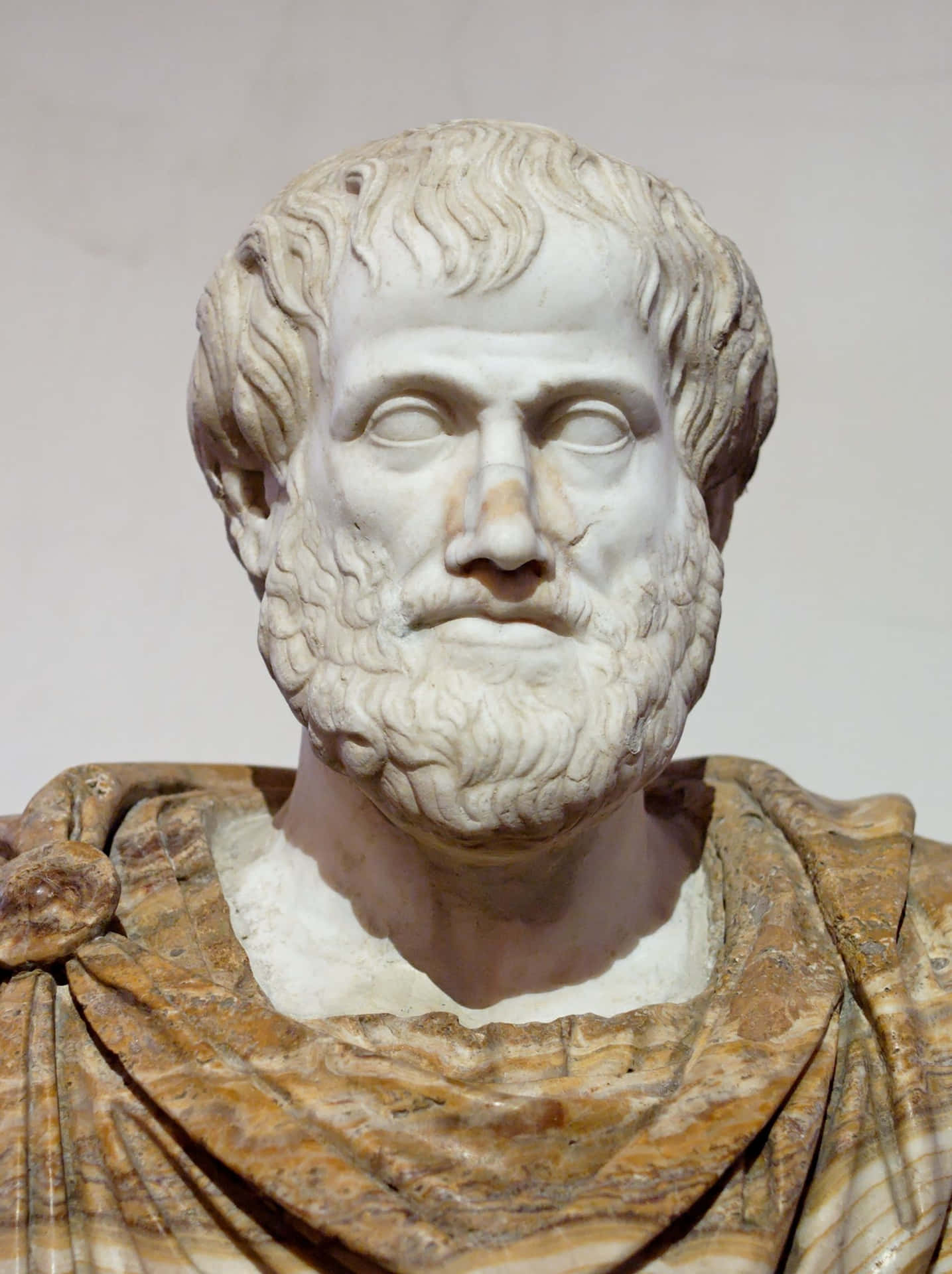 Aristotle 1700 X 2275 Background