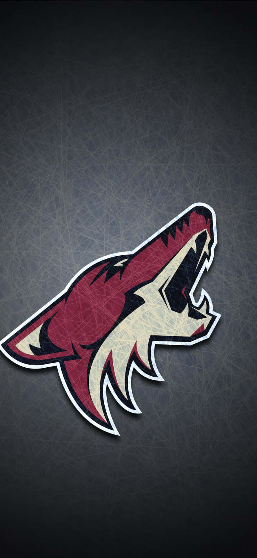 Arizona Coyotes Logo Wallpaper Background