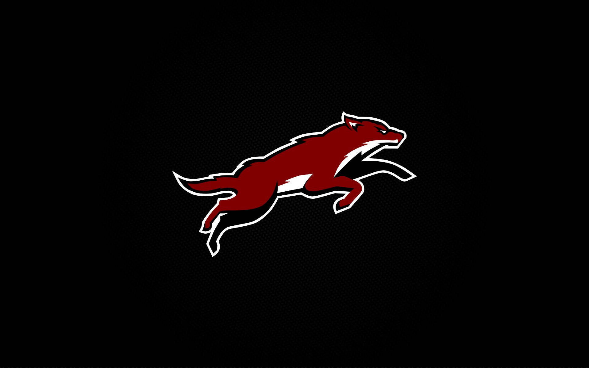 Arizona Coyotes On Black Background