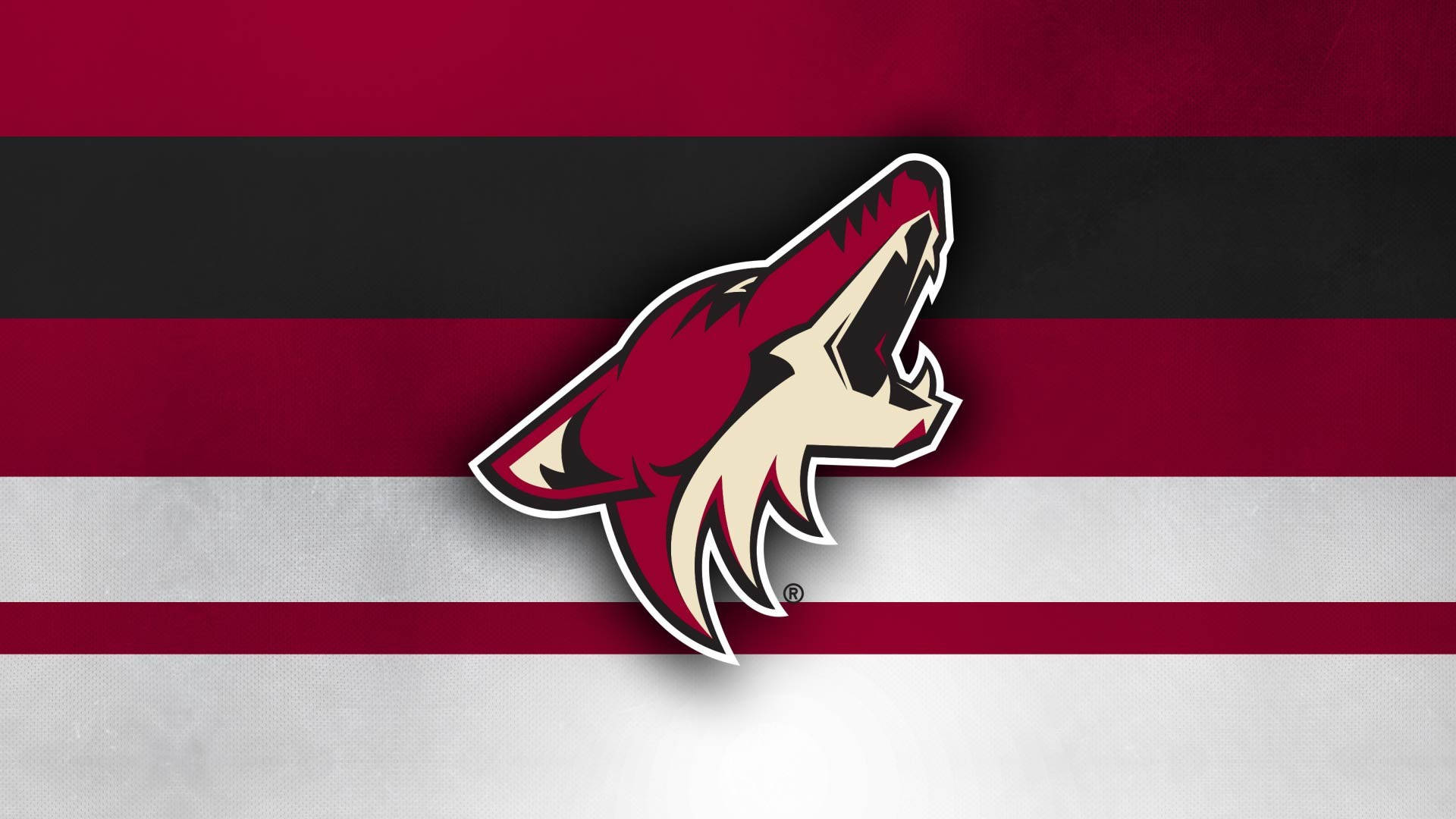 Arizona Coyotes On Flag Background