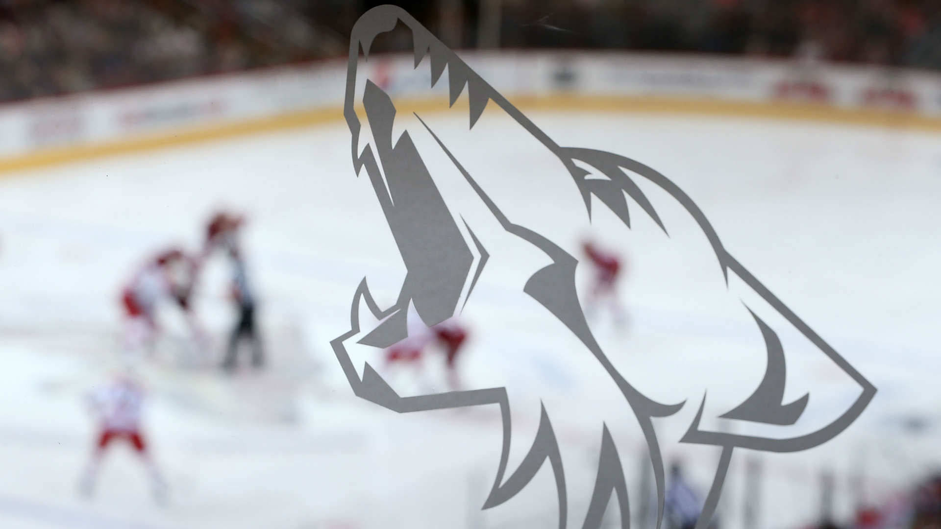 Arizona Coyotes On Ice Hockey Rink Background