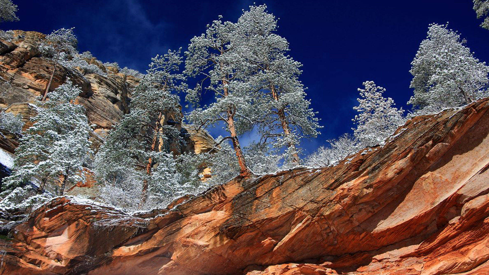 Arizona Rock Formations On Winter Background