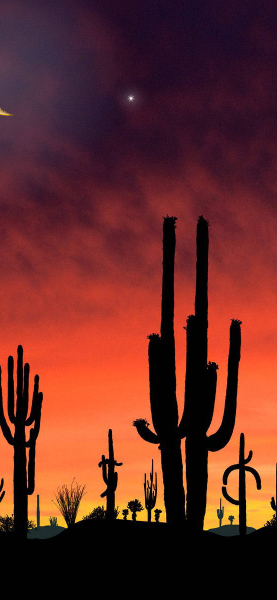 Arizona Sunset At Saguaro National Park Background