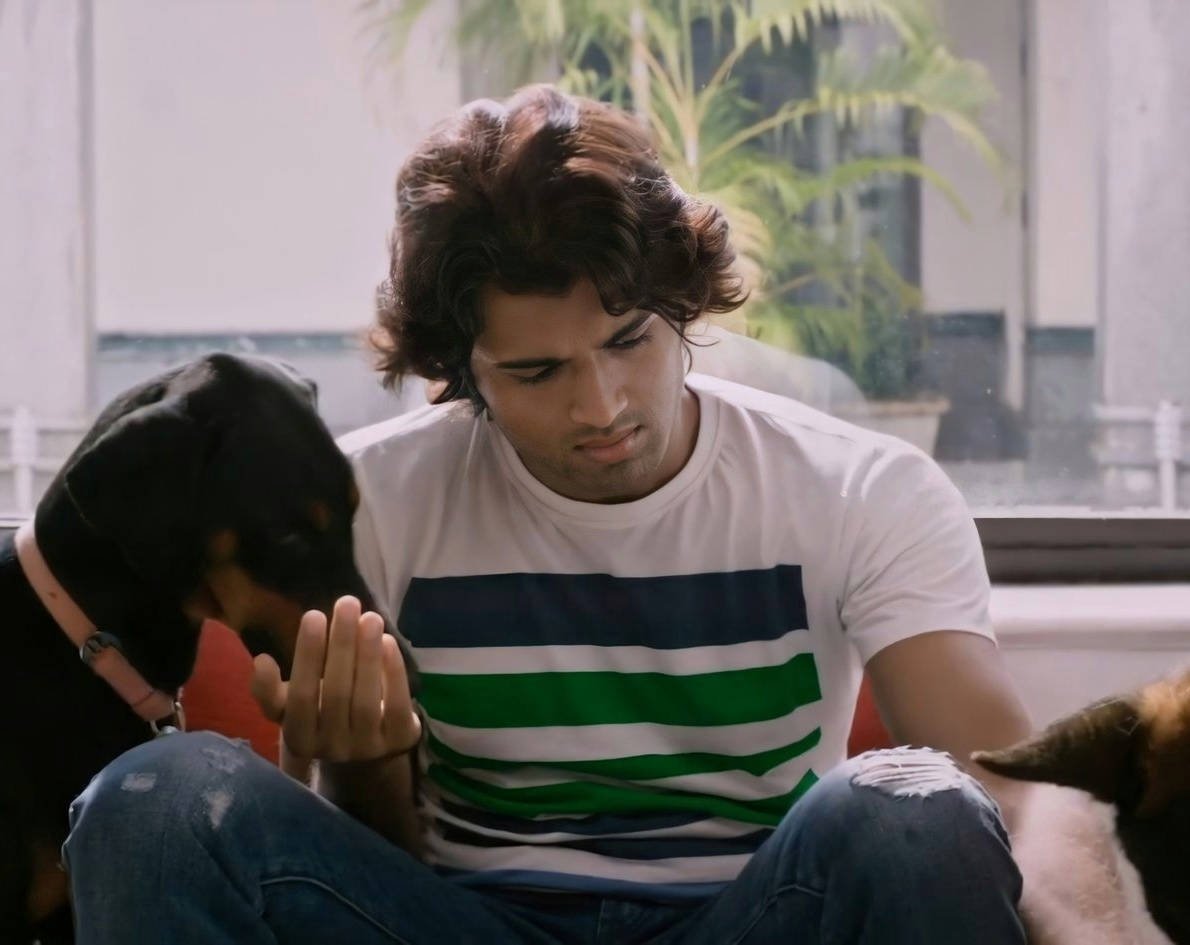 Arjun Reddy Chilling With His Canine Companions Background