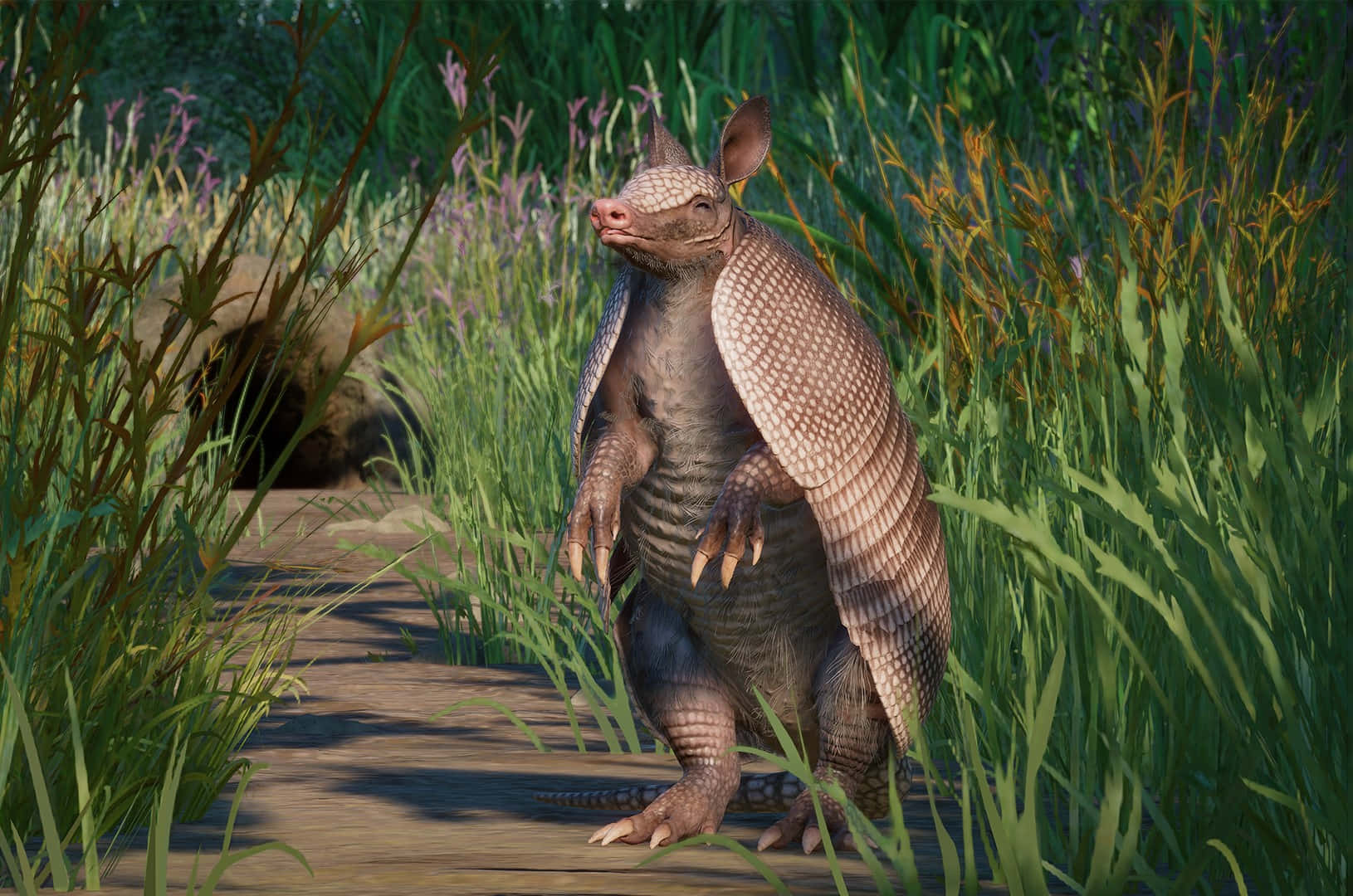 Armadillo Standingin Nature