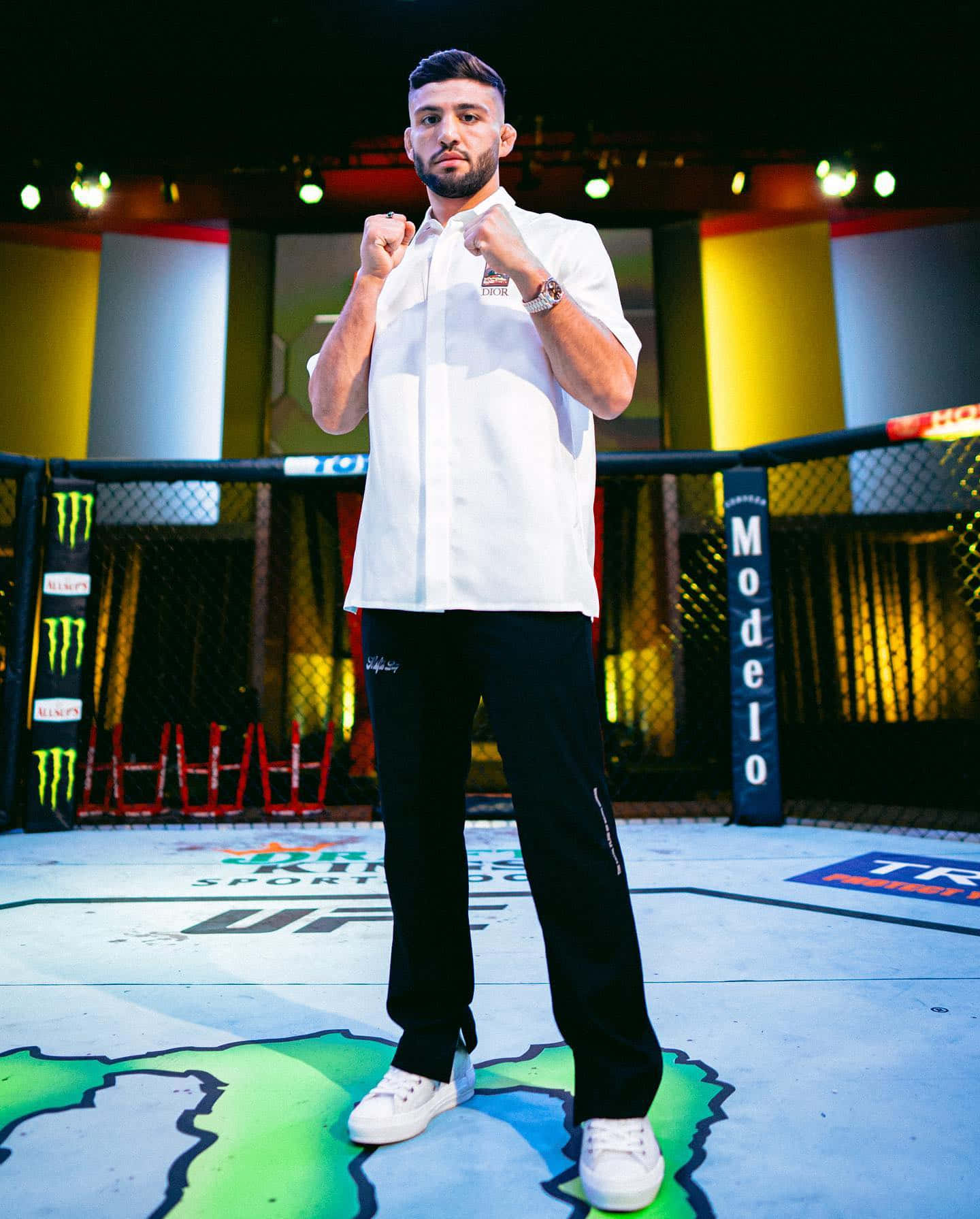 Arman Tsarukyan Holding Fists Up Background