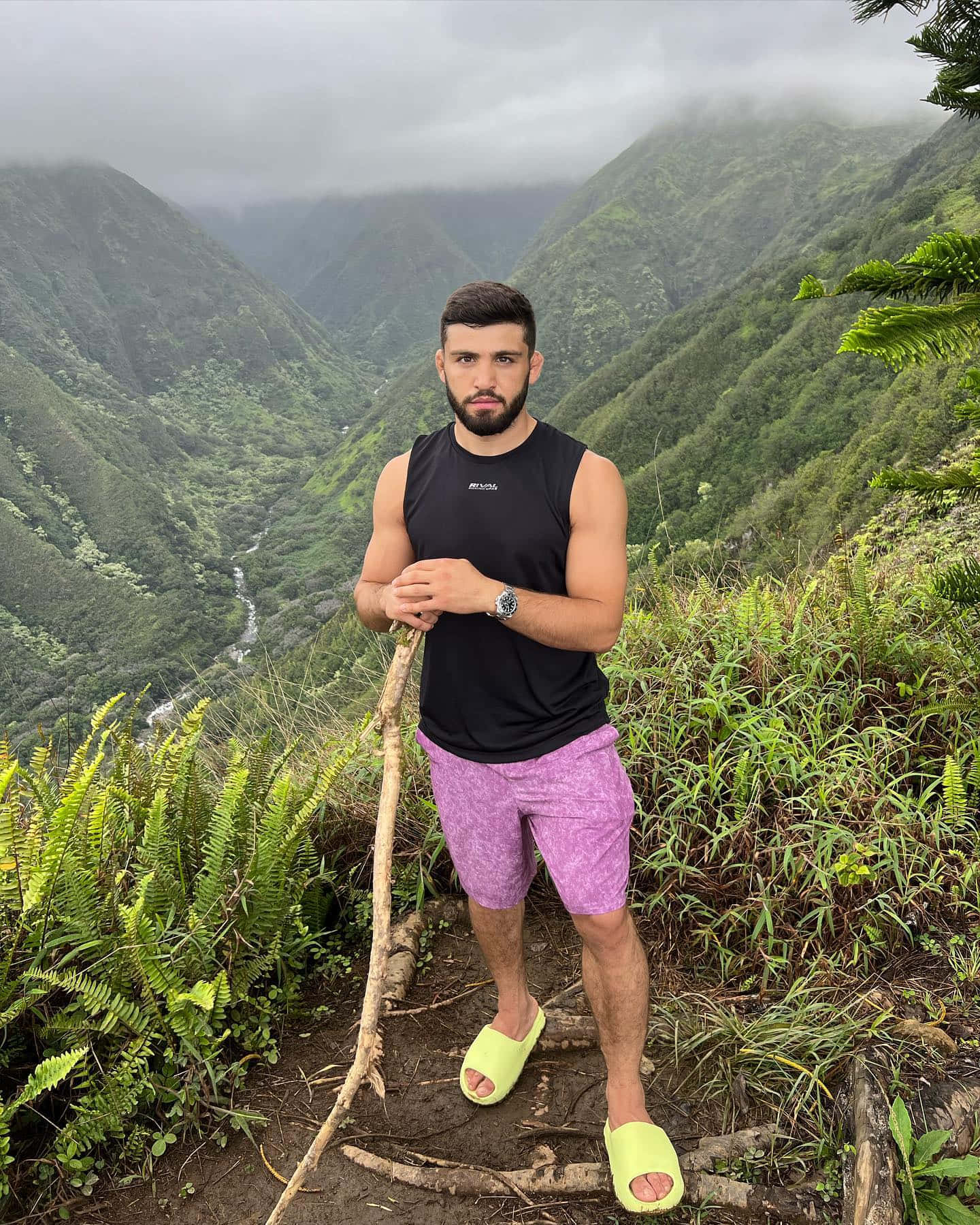 Arman Tsarukyan With Branch At Mountain Background