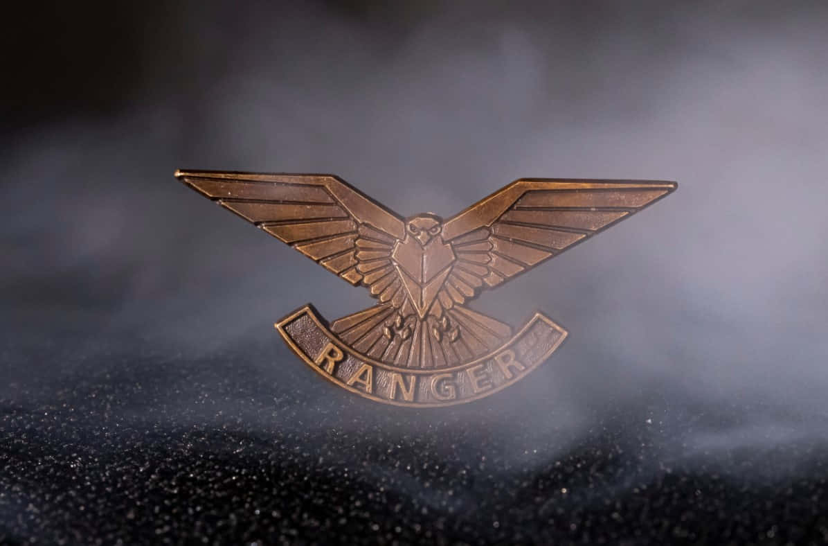 Army Ranger Insigniain Mist Background