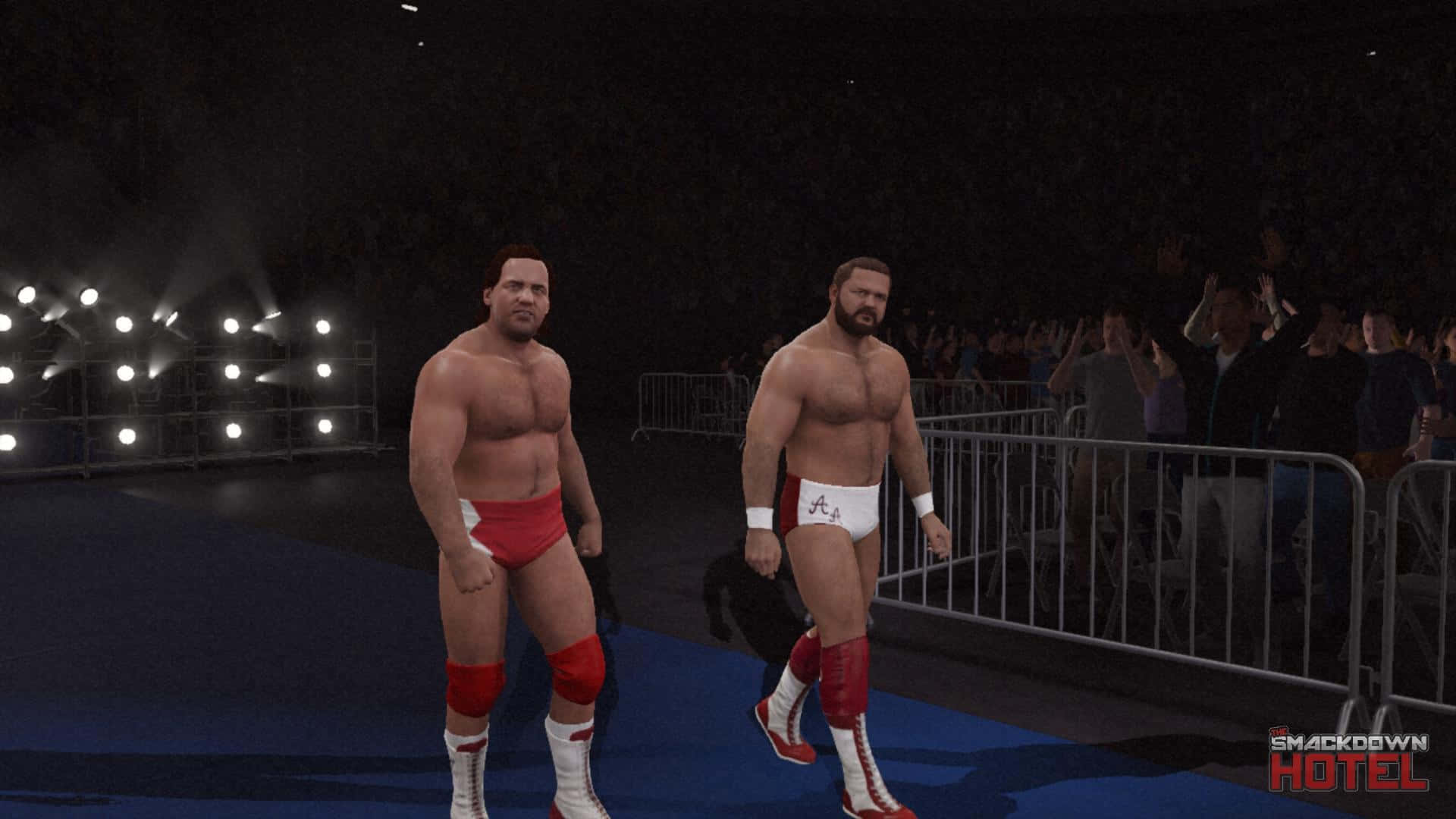 Arn Anderson And Larry Zbyszko Background