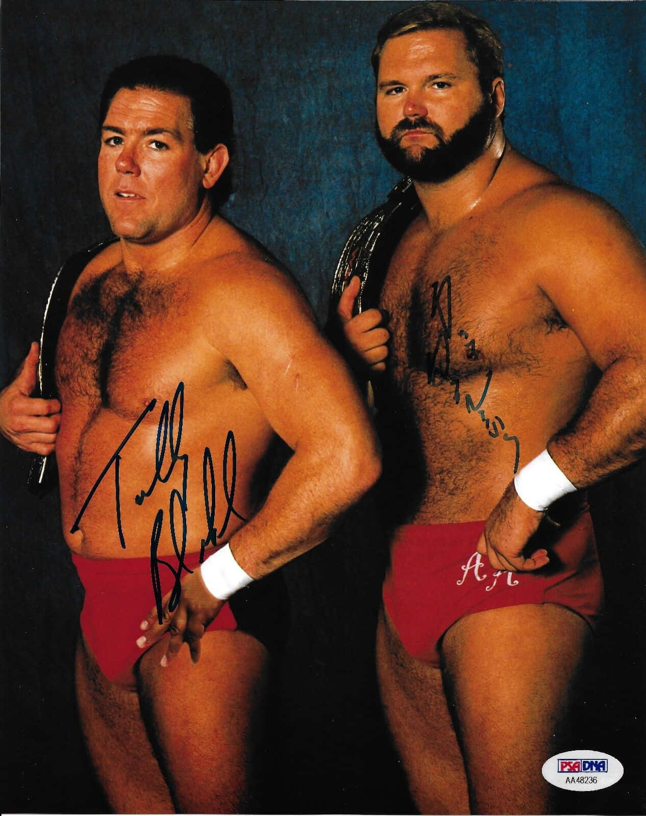 Arn Anderson And Tag Team Tully Background