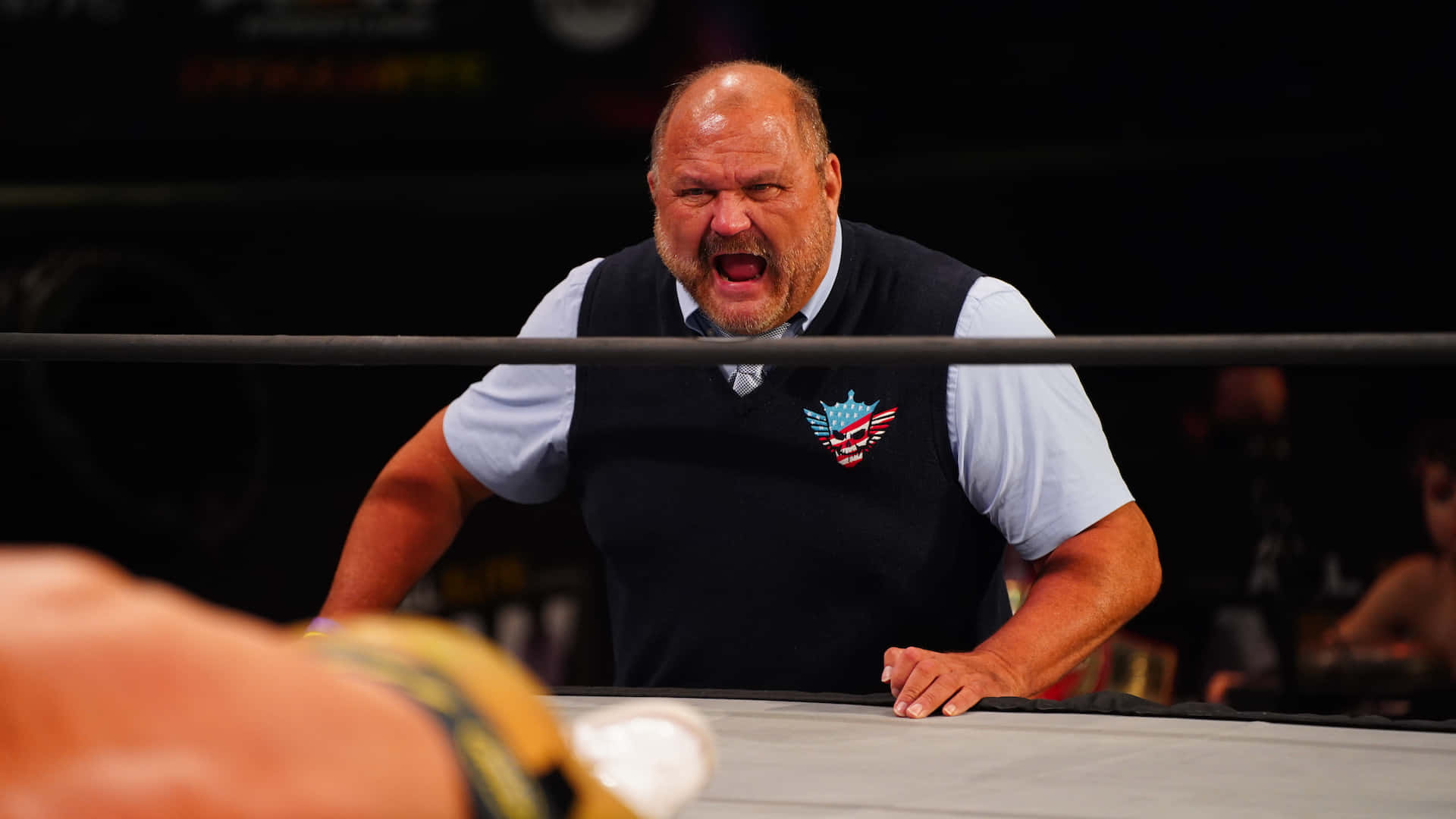 Arn Anderson Coaching Ringside