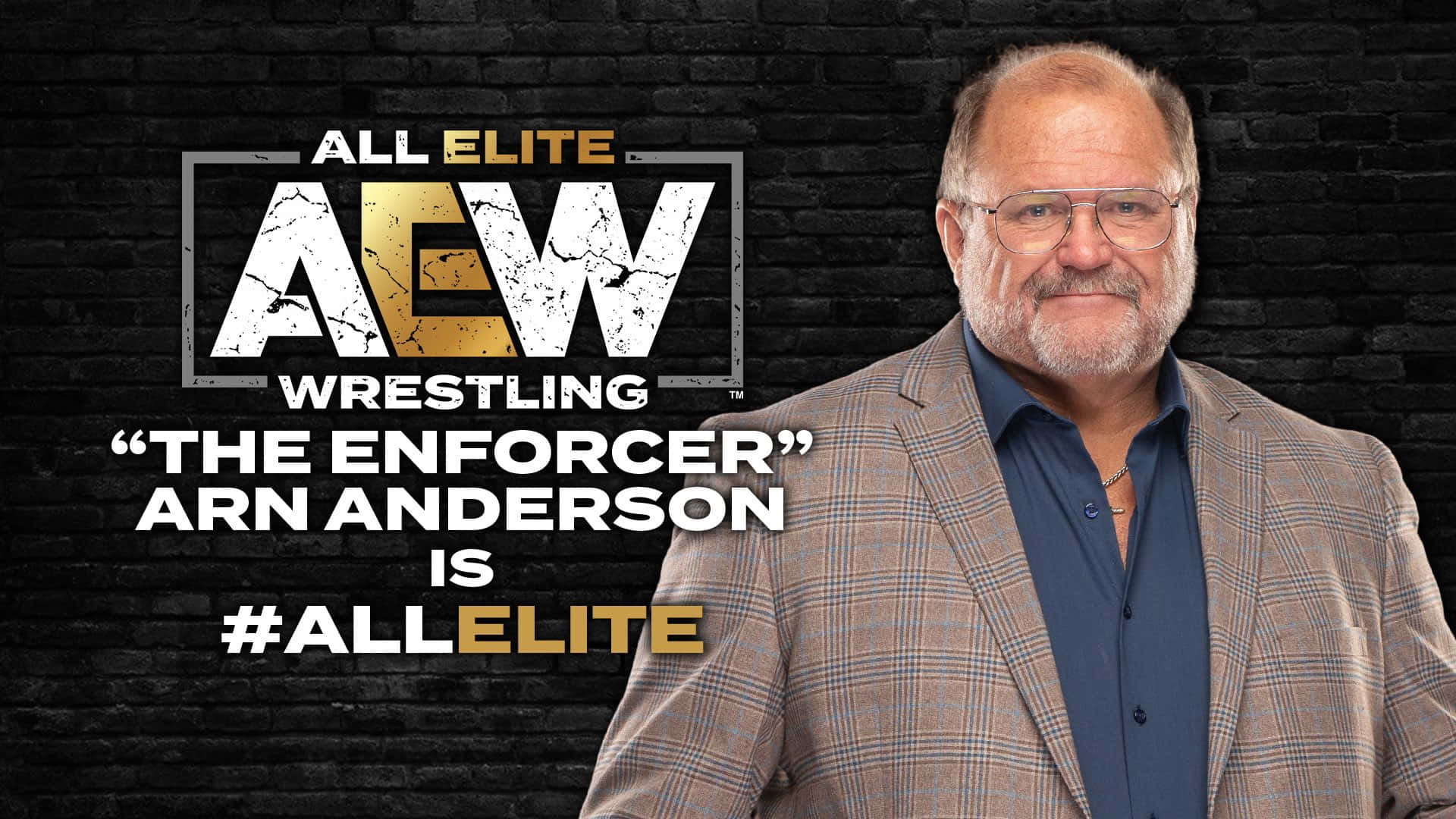 Arn Anderson The Enforcer Background