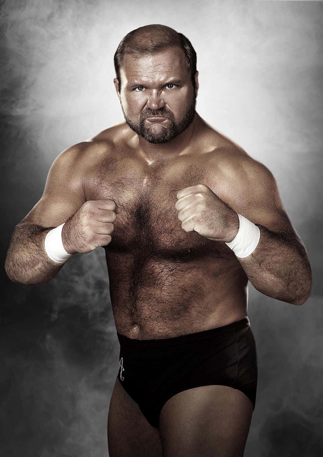 Arn Anderson The Enforcer