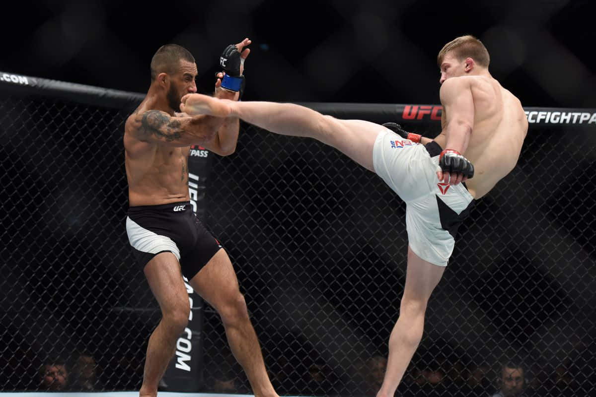 Arnold Allen Makwan Amirkhani Background